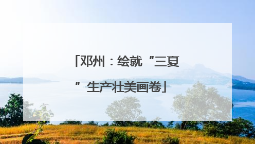 邓州：绘就“三夏”生产壮美画卷